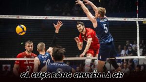 Cá cược bóng chuyển là gì?