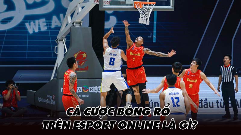 Cá cược bóng rổ trên Esport online là gì?