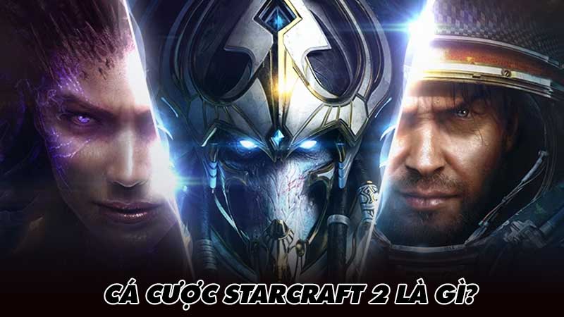 Cá cược StarCraft 2 là gì?